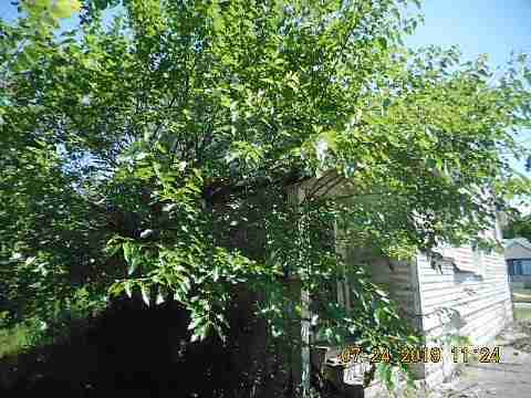 19357 Greeley (6)_m.jpg